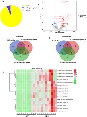 Hsa_circ_0000479 as a Novel Diagnostic Biomarker of Systemic Lupus Erythematosus